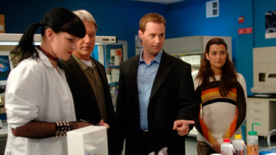 Photo of NCIS Reddit Picks The Best Season Finale, And We Couldn’t Agree More