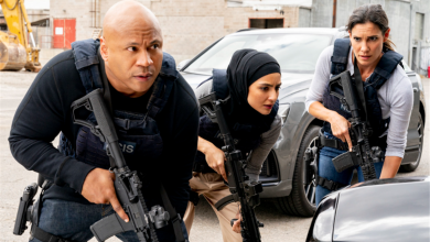 Photo of Will More NCIS: LA Stars Crossover To Other Shows?