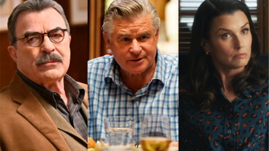 Photo of Blue Bloods: Who Did Treat Williams Play?