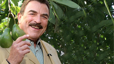 Photo of Blue Bloods: Tom Selleck Quietly Works A Regular Job Today