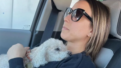 Photo of Kate Mansi Reveals That Her Beloved Dog Has Passed Away