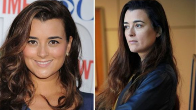 Photo of What Happened To Cote De Pablo After Her NCIS Exit?